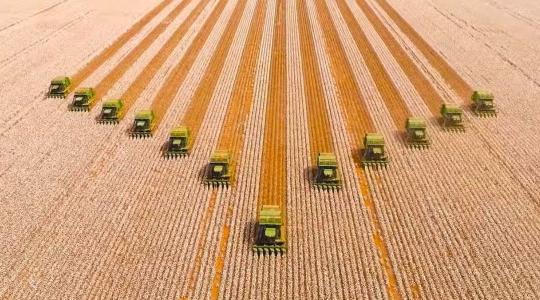 2022 a fordulat éve volt az ukrán agrárexportban, mutatjuk az új vevőket 2022 a fordulat éve volt az ukrán agrárexportban, mutatjuk az új vevőket
