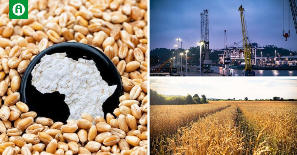 Nincs menekvés? Az ukrán gabona nem tűnik el egyhamar a piacról Nincs menekvés? Az ukrán gabona nem tűnik el egyhamar a piacról