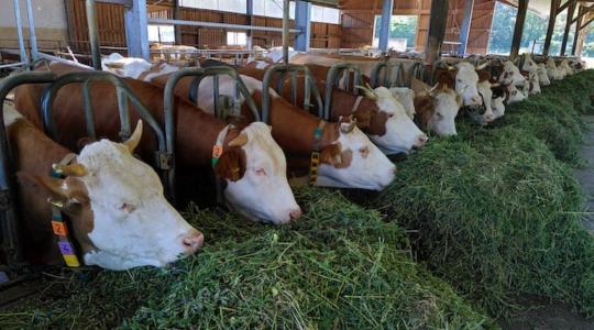 Ismét tüntettek a gazdák – óriási a felháborodás