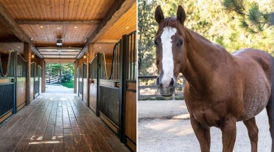A Running Springs-i Deluxe lovas farm megint eladósorba került