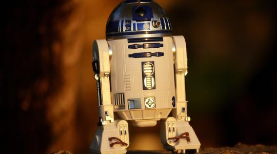 Itt a kertészrobot, ami napelem alatt gondozza a növényeket