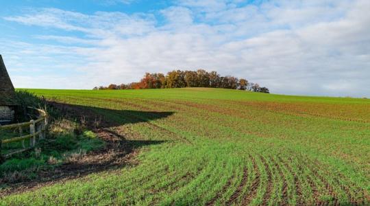 Ne hagyd, hogy az értékes termőtalajt elfújja a szél! Mutatjuk, mit tehetsz