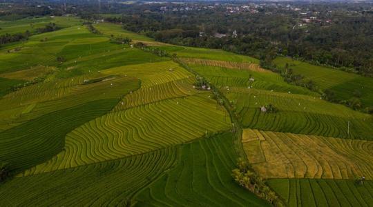 2028-tól ismét változik az Európai Unió agrárpolitikája – érzékenyen érintheti a támogatásokat is