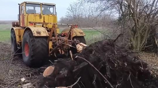 Aztán jött a Kirovec és kikapta a fatuskót – VIDEÓ