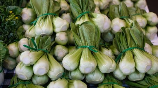 A pak choi igazi superfood, ezért van helye a kertben