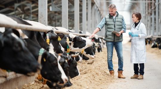 Májustól lehet pályázni erre az új támogatásra, 28 milliárd forint a keretösszeg