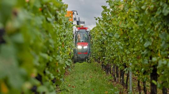 Innováció felsőfokon: Antonio Carraro TONY 8700 V ősbemutató – Csabacsűd Innováció felsőfokon: Antonio Carraro TONY 8700 V ősbemutató – Csabacsűd