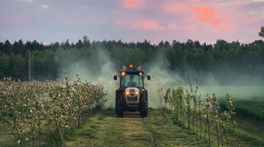7 napos időjárás-előrejelzés: hét elején még zivataros, hétvégén már napos idő várható