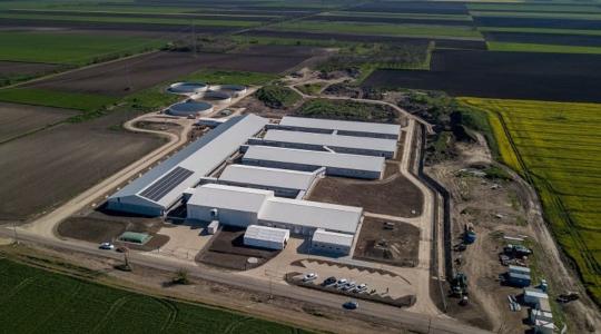 Átadták a FirstFarms Hungary Kft. új sertéstelepeit – egyedülálló technológiával biztosítják az optimális hőmérsékletet