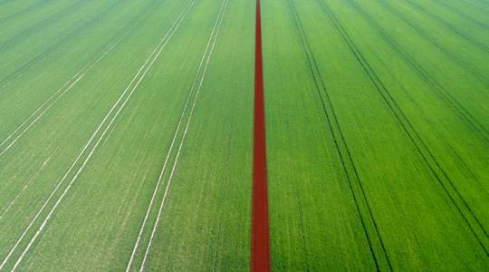 Ezen sokat spórolhatsz: brutál tömény biostimulátor, mindössze 1 liter hektárdózis!