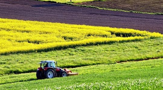Figyelem! Indulnak az ellenőrzések! A területalapú támogatásod is függhet tőle