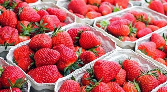 Így teszik tönkre Európa egyik legfontosabb vizes élőhelyét, hogy mi import bioepret ehessünk