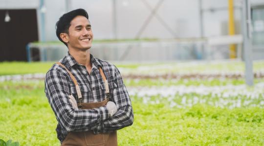 Miért éppen thai vendégmunkások dolgoznak a magyar gazdaságokban?