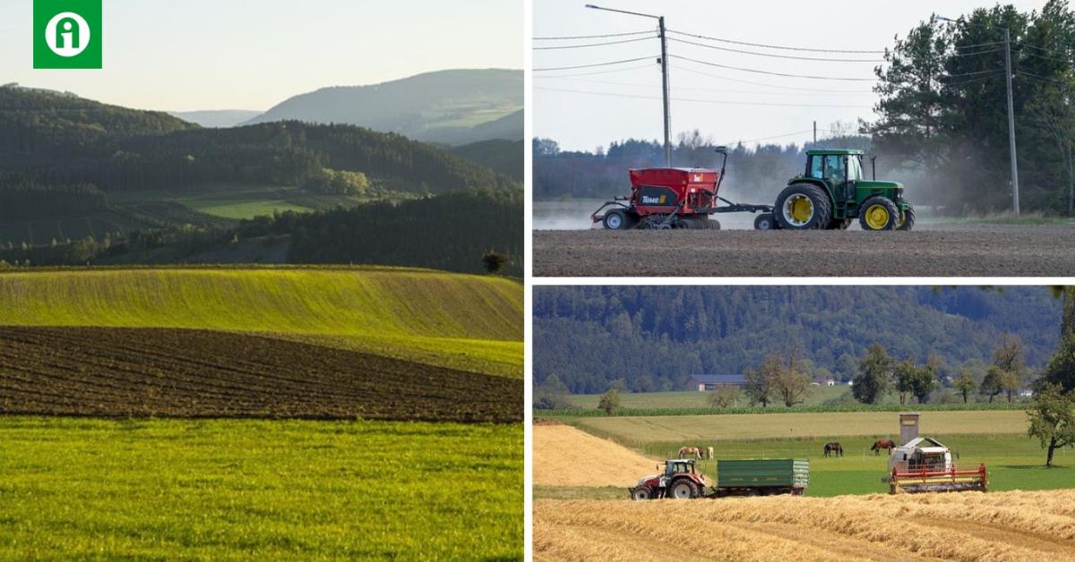 Tudj meg mindent a másodvetés szabályairól! Tudj meg mindent a másodvetés szabályairól!
