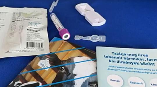 Kisebb marhatartóknak tökéletes: egyszerű, költségkímélő vemhesség-meghatározás – VIDEÓ