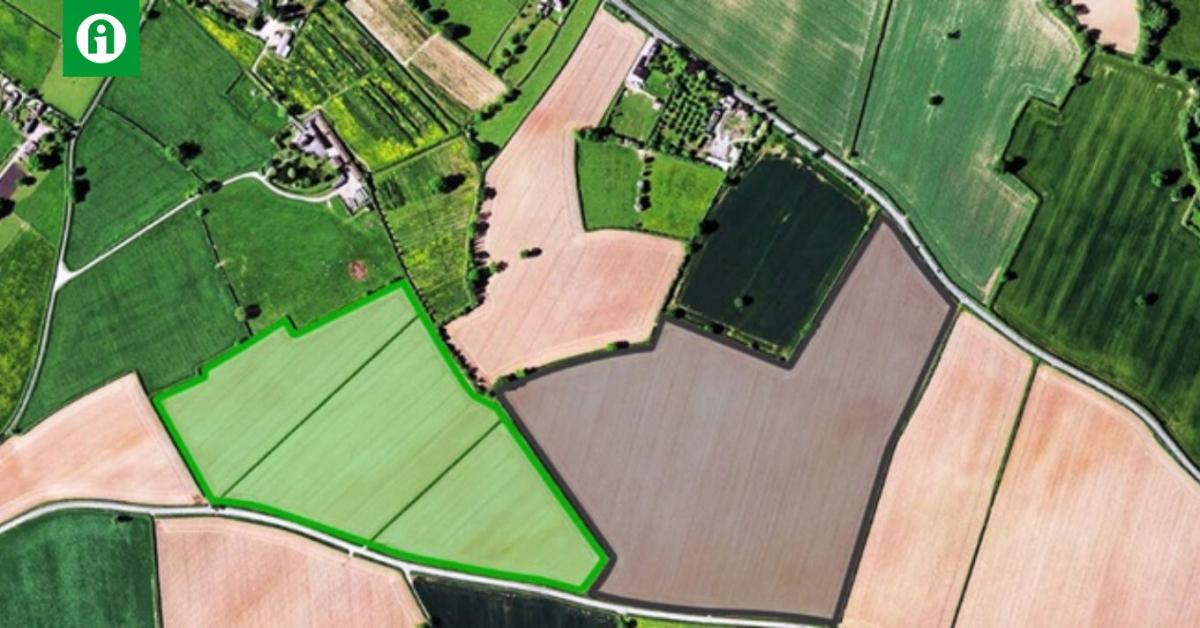 Egy haszonállat életének összes költségét és hozamát előre kiszámítja ez a szoftver – VIDEÓ