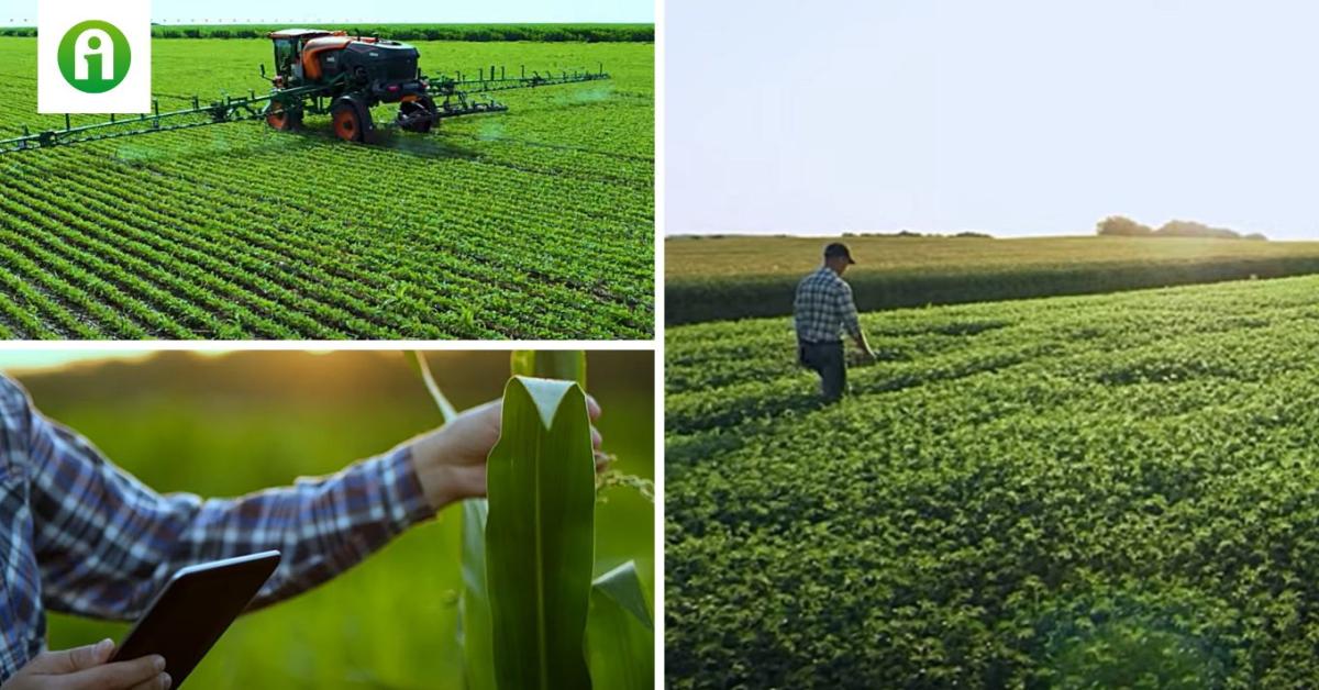 A Bosch BASF Smart Farming mostantól már ONE SMART SPRAY A Bosch BASF Smart Farming mostantól már ONE SMART SPRAY