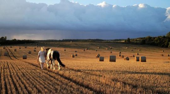 Akár 30 százalékkal nőhet az agrárium termelékenysége — a nők kellenek hozzá 