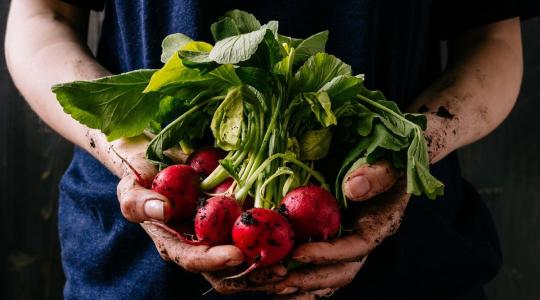 A fenntartható mezőgazdaság fejlődése segíti a biodiverzitás megőrzését