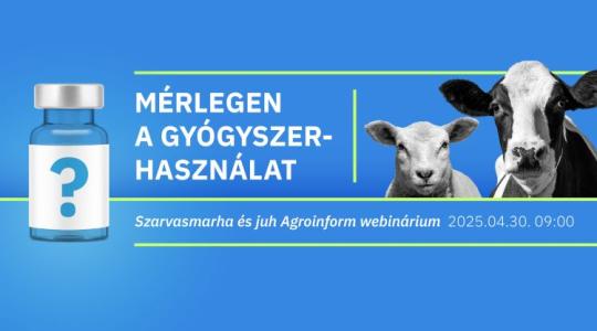 Mérlegen a gyógyszerhasználat – Szarvasmarha és juh Agroinform webinárium – így csatlakozhatsz! Mérlegen a gyógyszerhasználat – Szarvasmarha és juh Agroinform webinárium – így csatlakozhatsz!