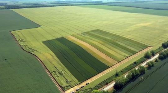 Mit jelent a magyar gazdáknak sörárpát termelni?  – VIDEÓ