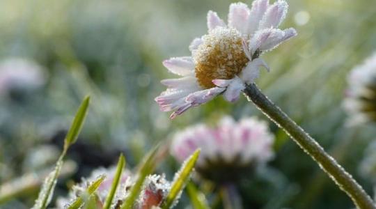 Meteorológia: Zabarban mindössze 0,9 Celsius-fok volt vasárnap hajnalban