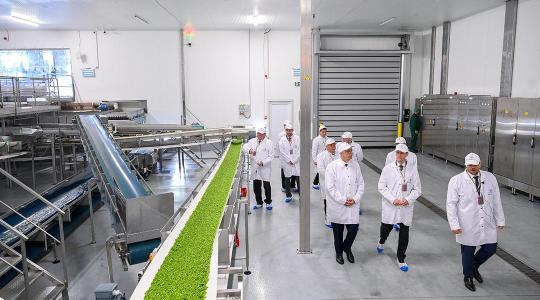 Magyarországon jött létre Európa legnagyobb fagyasztott csemegekukorica-előállító üzeme