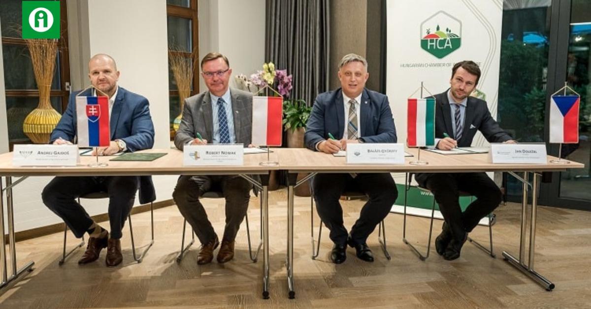 Ukrán import: behozhatatlan versenyhátrányt okoz a magyar gazdáknak a kettős mérce