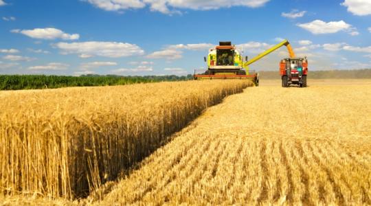 A költségek megugrásával ismét előtérbe került a gépi bérmunka az agráriumban