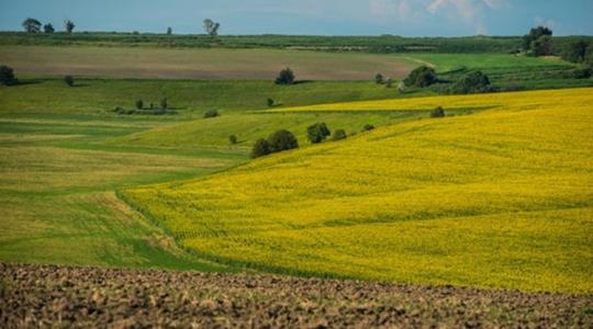 A gátrobbantás miatt sivataggá fognak válni a dél-ukrajnai földek?