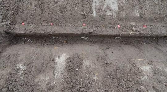Kukoricavetés: új megoldást dob piacra a Kverneland