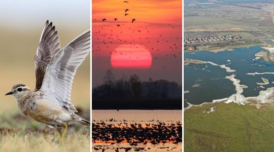 70 millió euró összegű támogatást nyertünk – mutatjuk, miben értünk el ilyen nagy sikert