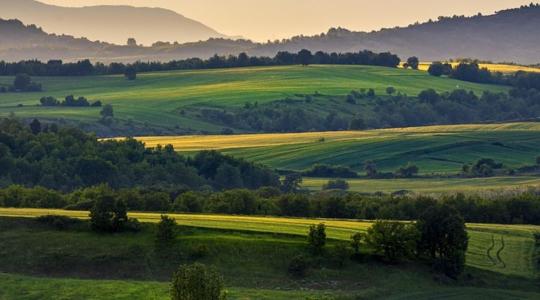 Riasztó a természeti sokféleség csökkenése a mezőgazdasági területeken