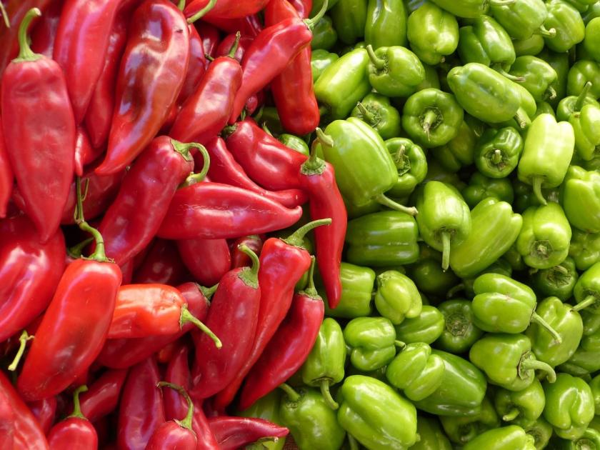 Paprika: ez a bő termés titka Paprika: ez a bő termés titka