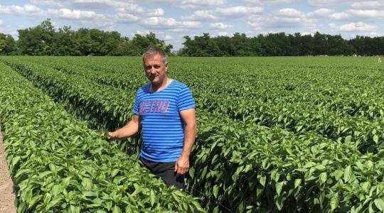Gazdariport: éveket spóroltunk a zöldségtermesztésben IKR Agrár kertészeti műtrágyákkal