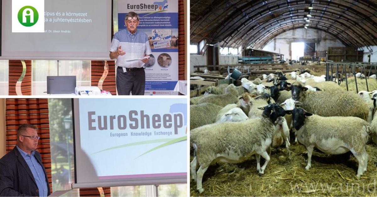 Bemutatták az EuroSheep-program hazai eredményeit Bemutatták az EuroSheep-program hazai eredményeit