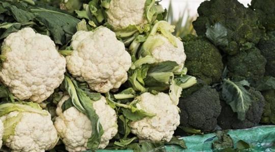 Idén is gondok mutatkoznak a karfiol termesztésében – mi a megoldás? 