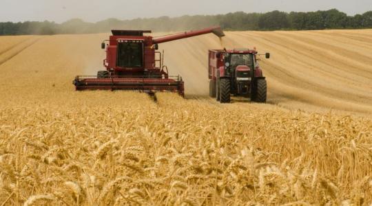 A fél világ retteg tőle, de a magyar agrárium akár jól is járhat vele? 