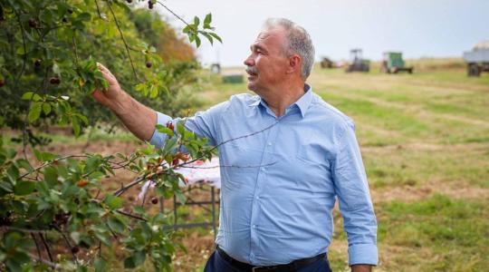 Végre berobbant a meggyszezon