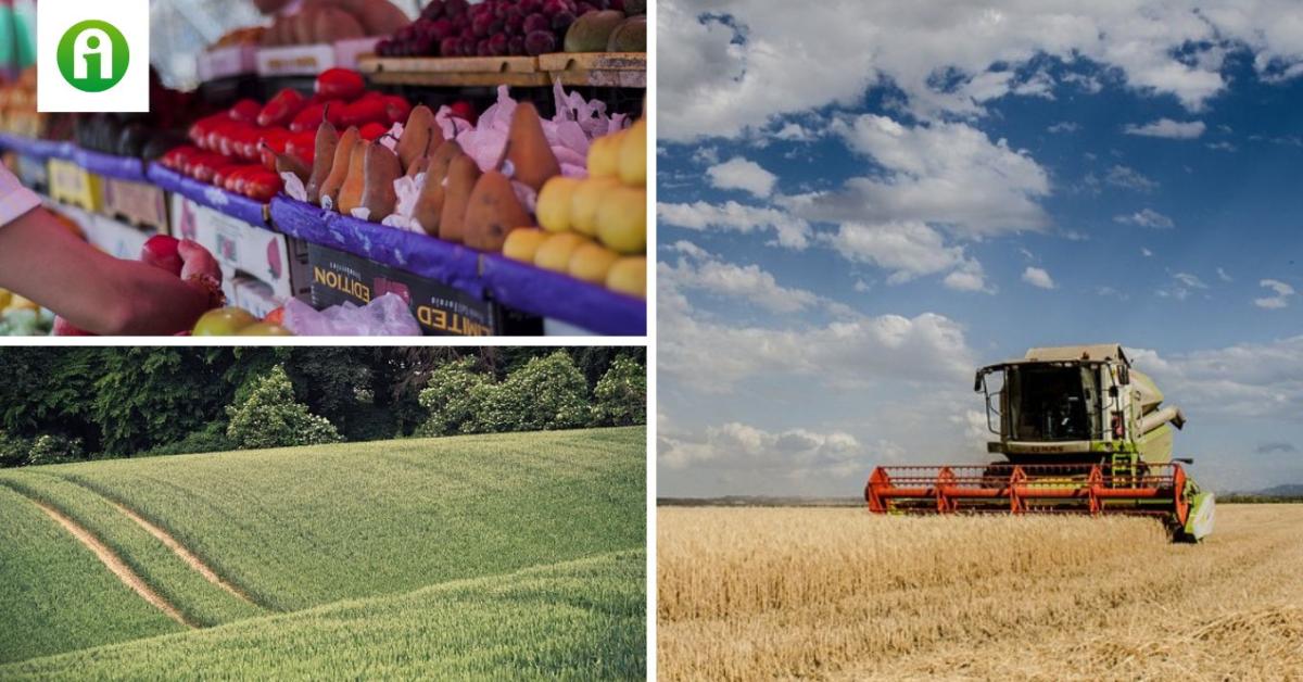 Idejétmúlt az EU-Mercosur kereskedelmi megállapodás