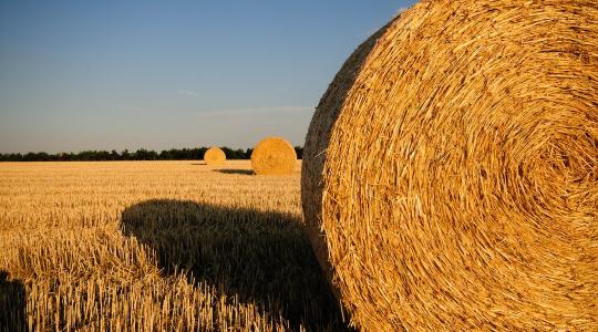 Időjárás-előrejelzés: újabb hőhullám közeleg