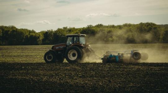 Műveljük a talajt, vagy inkább ne? Dilemmák és kérdések