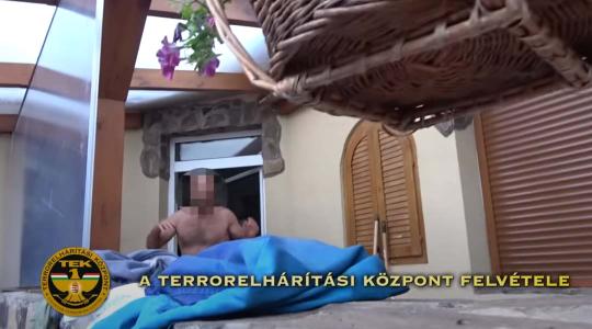 Teljes döbbenet! 9 éves gyerek lőhette ki a védett, svájci farkast