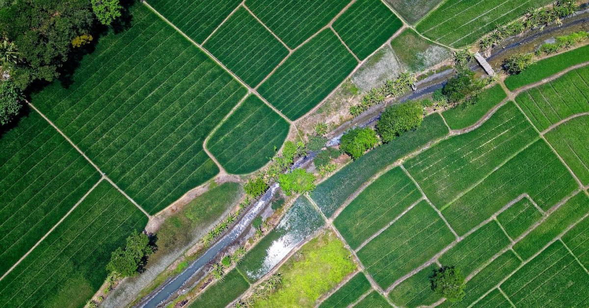 Termőföldre vagy szupermarketekre van-e nagyobb szükség?