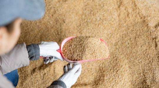 Új termékeket fejlesztett a Pannonia Bio