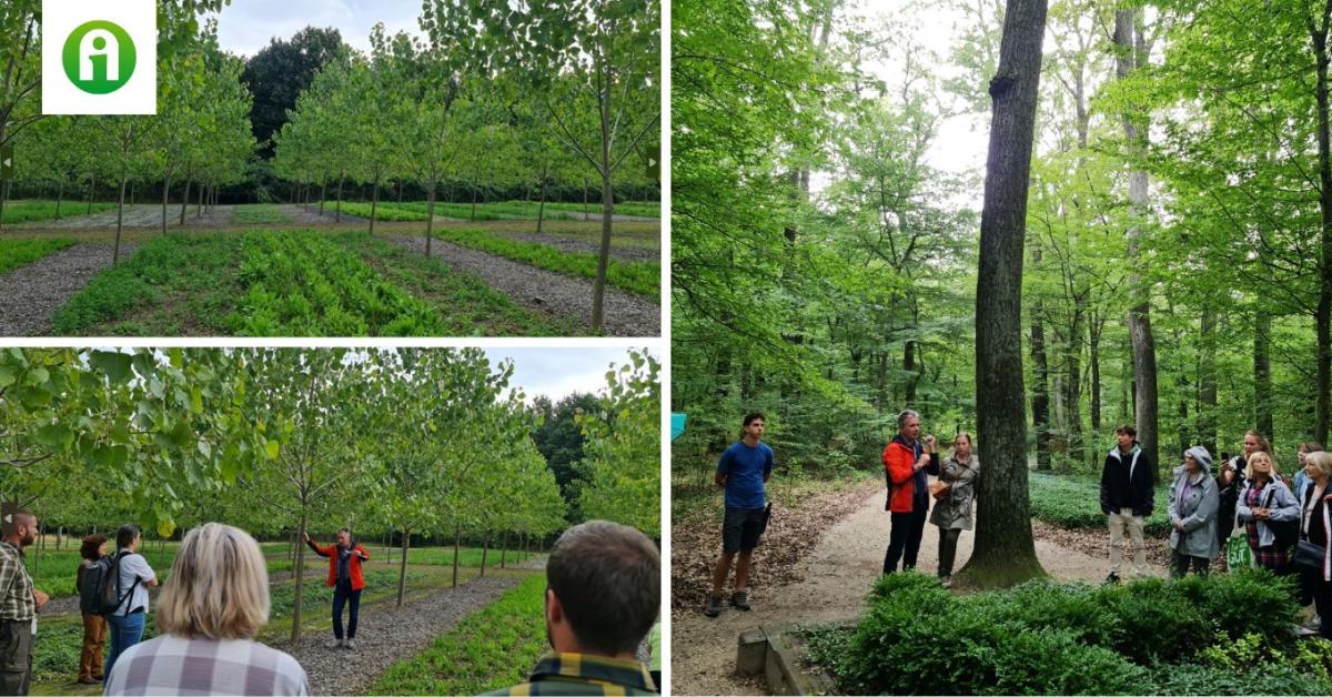 Jó gyakorlatok az agrárerdészetben