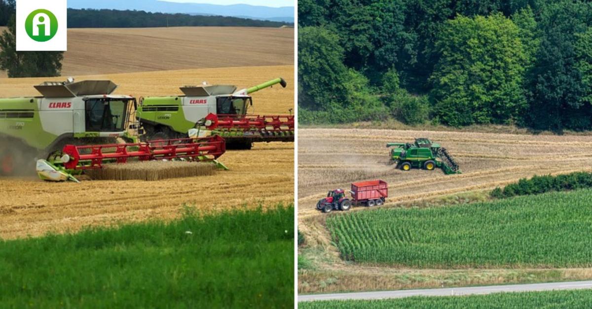 A csapadékos időjárás ellenére a legtöbb helyen befejeződött az aratás