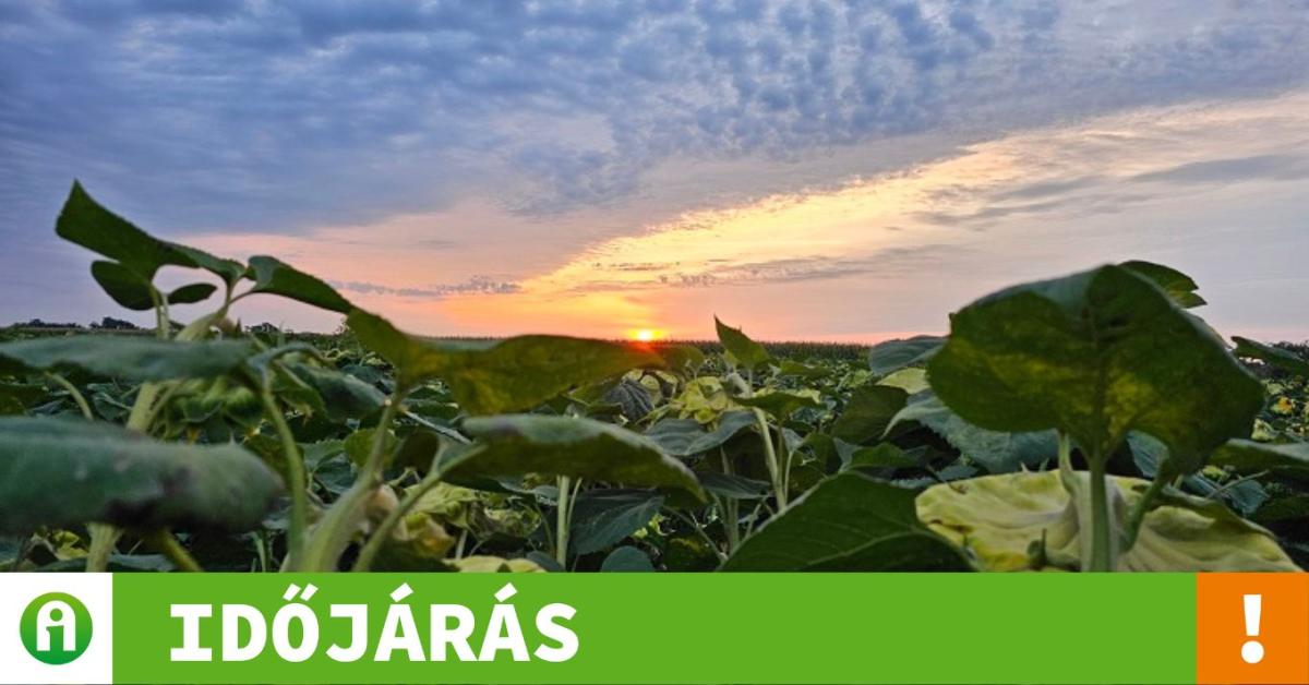 Időjárás: zavartalanul csillagfényes lesz az éjszaka Időjárás: zavartalanul csillagfényes lesz az éjszaka