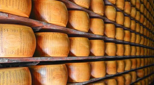 Mikrocsip kerül a parmezán sajtokba!