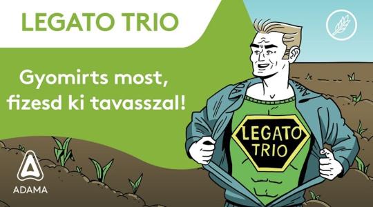 Tudd le a gyomirtást most, fizess tavasszal! 